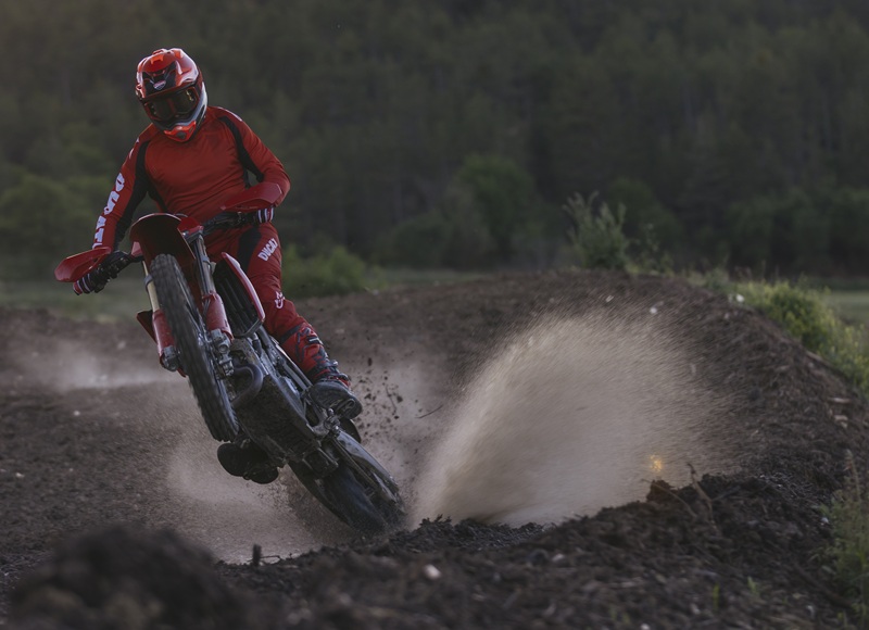 MY27 DESMO450EDS DYNAMIC 14